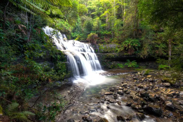 Liffey Falls Tasmania