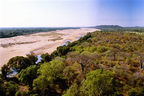 Limpopo National Park Southern Mozambique