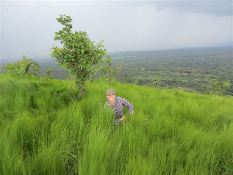 Lirhanda Hill Lookout Western Kenya