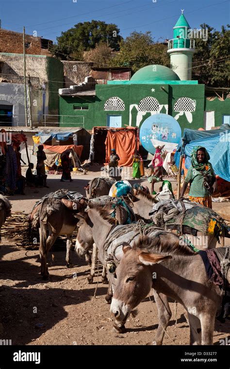Livestock Market Harar