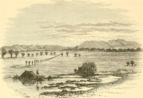 Livingstone’s Tembe Western Tanzania