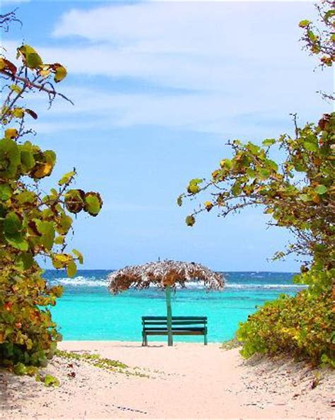 Loblolly Bay Beach British Virgin Islands