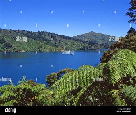 Lochmara Marlborough Region