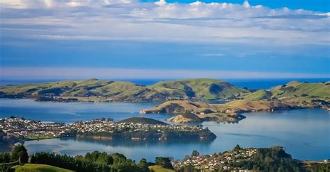 Lookout Point Dunedin & Otago