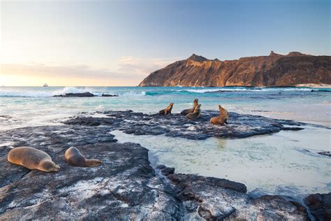 Los Galápagos Isla San Cristóbal (Chatham)