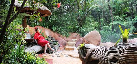 Lost Spring Coromandel Peninsula