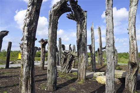 Lough Boora Parklands The Midlands