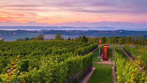 Luckett Vineyards Annapolis Valley