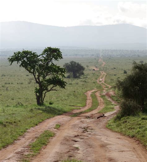 Lumo Community Wildlife Sanctuary Kenya