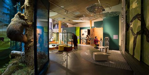 Luontokeskus Naava Lapland