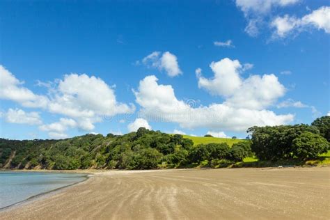 Mahurangi Regional Park North Auckland