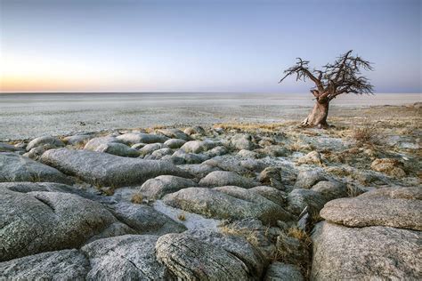 Makgadikgadi Pans National Park Botswana