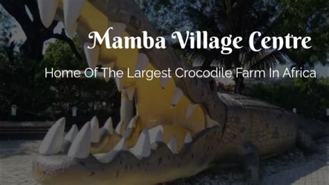 Mamba Village Crocodile Farm South Coast