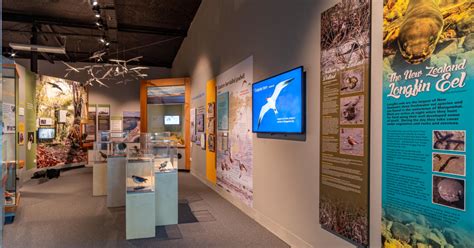 Mangawhai Museum Bay Of Islands & Northland