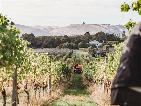 Martinborough Vineyard The Wairarapa