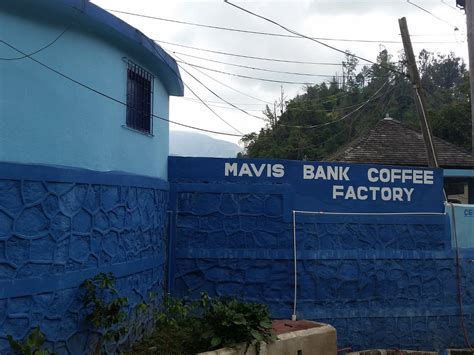 Mavis Bank Coffee Factory Kingston, Blue Mountains & The Southeast Coast