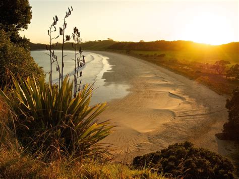Mimiwhangata Coastal Park Bay Of Islands & Northland
