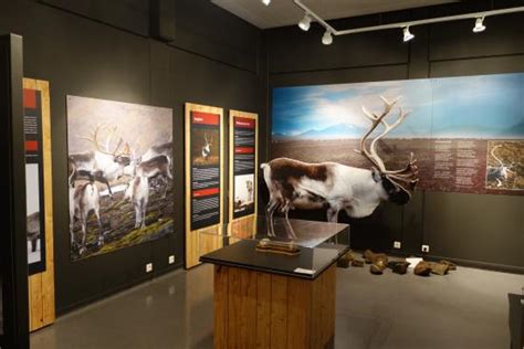 Minjasafn Austurlands Inland