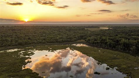 Mirador Parque Esteros Del Iberá
