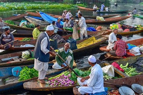 Mirzabagh Veg Boat Dock Srinagar