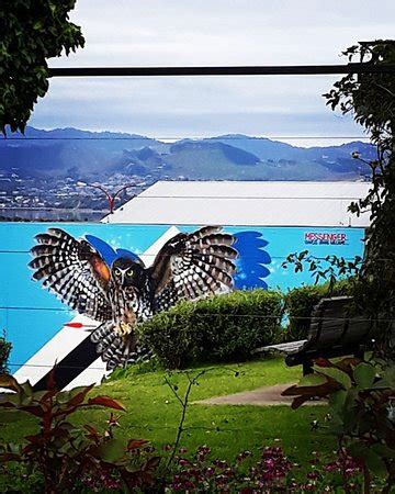 Monmouth Redoubt Tauranga