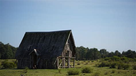Monte Verde Puerto Montt