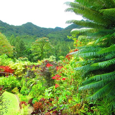 Montreal Gardens St Vincent & The Grenadines