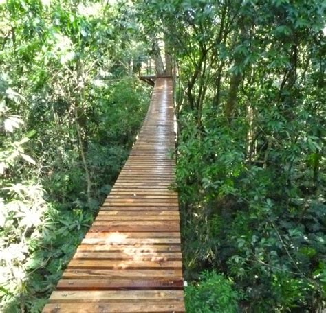 Monumento Bertoni Paraguay