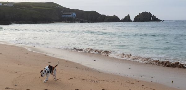 Mother Ivey's Bay North Cornwall