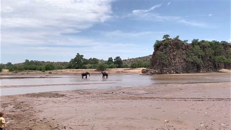 Motloutse Ruins Botswana