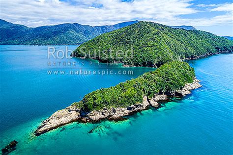 Motuara Island Marlborough Region