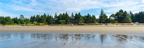 MoturoaRabbit Island Nelson Region