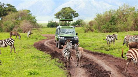 Mt Elgon National Park Western Kenya