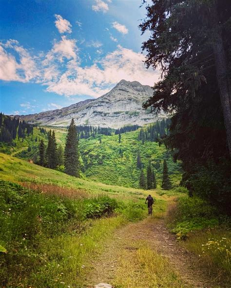 Mt Fernie Provincial Park British Columbia