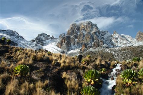 Mt Kenya National Park