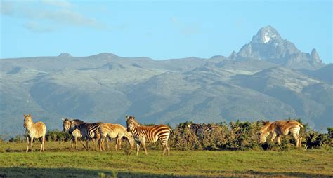 Mt Kenya Wildlife Conservancy Animal Orphanage Nanyuki