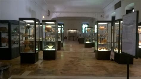 Museo Archeologico Provinciale della Lucania Occidentale Salerno & The Cilento
