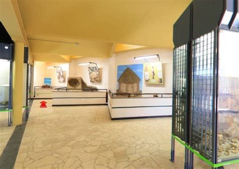 Museo Civico Sulcis