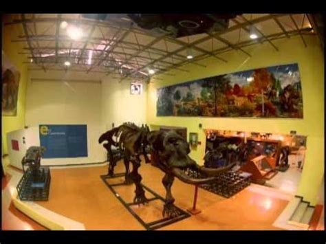 Museo de Ciencias Naturales Quito