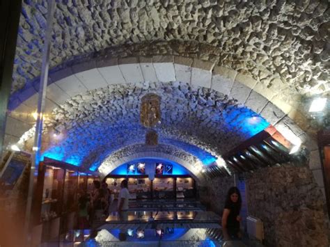 Museo Malacologico Vieste