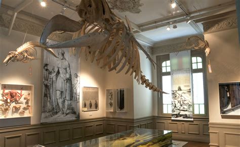 Museo Oceanográfico y de Ciencias Naturales Puerto Madryn