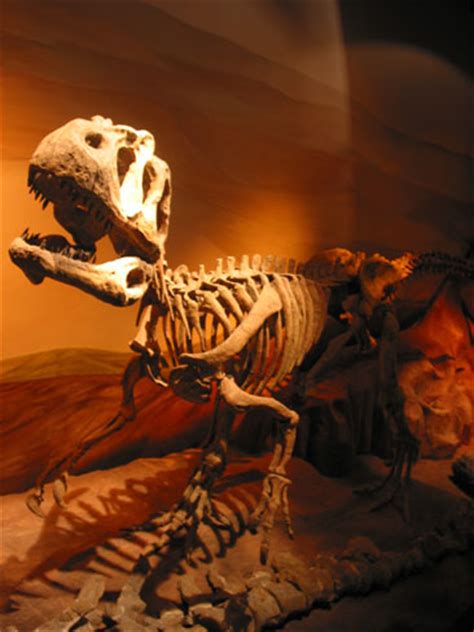 Museo Paleontológico Egidio Feruglio Coastal Patagonia