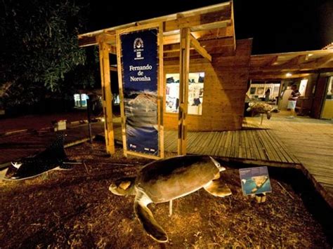Museu a Céu Aberto da Tartaruga Marinha Fernando De Noronha