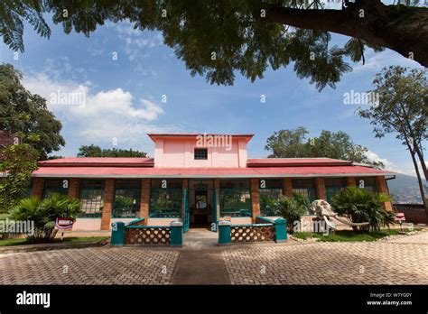 Museum of Natural History Kigali