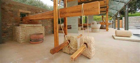 Museum of the Olive & Greek Olive Oil Sparta