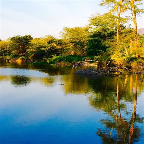 Mzima Springs Tsavo West National Park