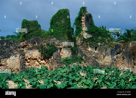 Nabahani Ruins Lamu Archipelago