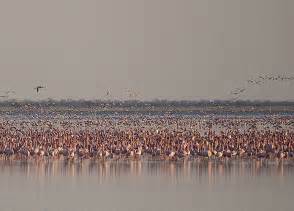 Nata Bird Sanctuary Botswana