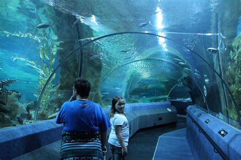 National Aquarium of New Zealand Napier