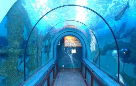 National Marine Aquarium Swakopmund